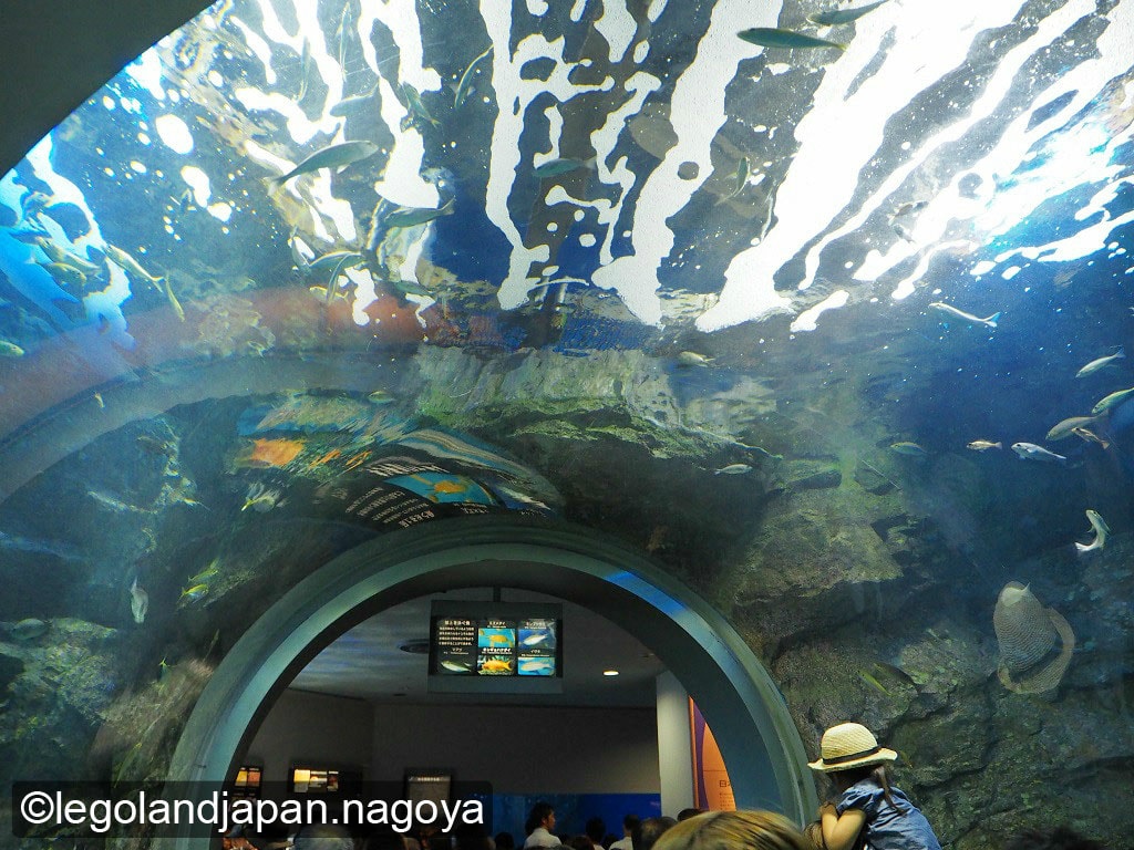 nagoya-aquarium-30