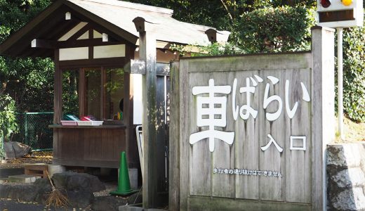 熱田神宮で車祓い。交通安全祈願にいかが？