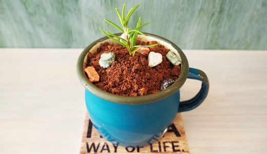 名古屋で植木鉢スイーツがあるカフェ「トリック・オアー・トリート」