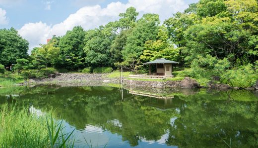 白鳥庭園の美しさに感動！のんびり散歩におすすめの庭園！