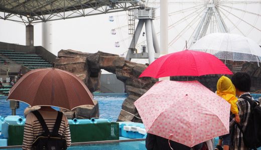雨の日でも楽しい名古屋港水族館！