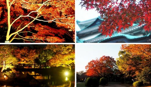 名古屋の紅葉スポットまとめ。ライトアップや穴場の名所をご紹介！