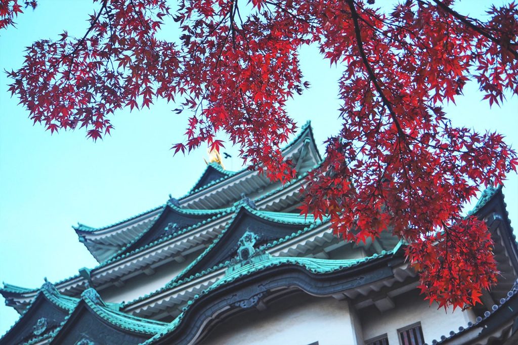 名古屋城の紅葉 天守の周りと庭園を巡り秋の景色を楽しむ ぐるぐる名古屋