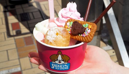 シェリーズアイスクリーム：大須にデコレーションアイスの専門店がオープン！