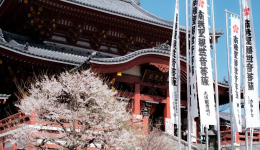 大須エリアで桜めぐり