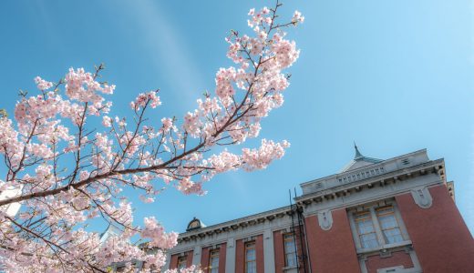 【桜景色】名古屋市市政資料館